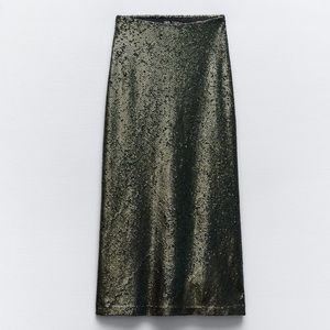 Zara Sequin Midi Skirt